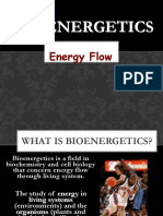 Bioenergetics: Energy Flow