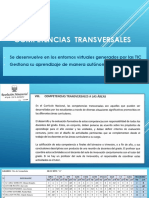 Competencias Transversales