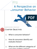A Perspective On Consumer Behavior