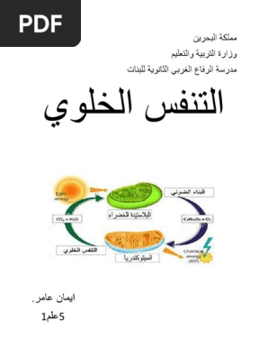 مملكة البحري2