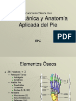 Clase 2 Biomecánica y Anatomía Aplicada Del Pie 2018