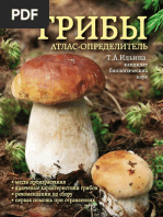 Грибы. Атлас-определитель.pdf