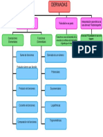 Mapa Conceptual