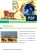 Aula 3 - Fluxos de Energia Nos Ecossistemas PDF