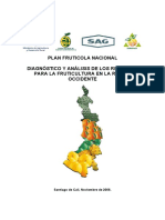 plan fruticola  REGION OCCIDENTE.pdf