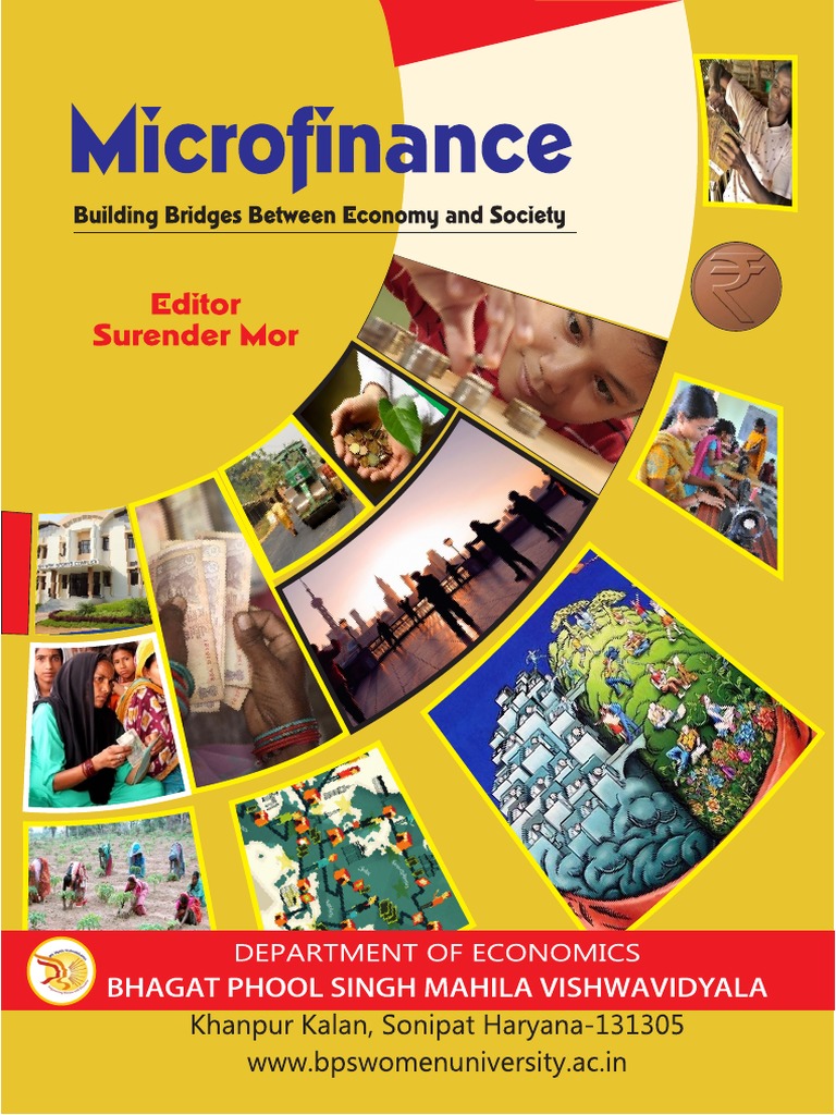 Microfinance Building Bridges Between Economy and Society | PDF ...