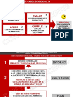 adosamiento pareo.pdf