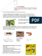 11 Junio Ciencias PDF