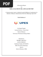 Risk Analysis in Oil and Gas Sector