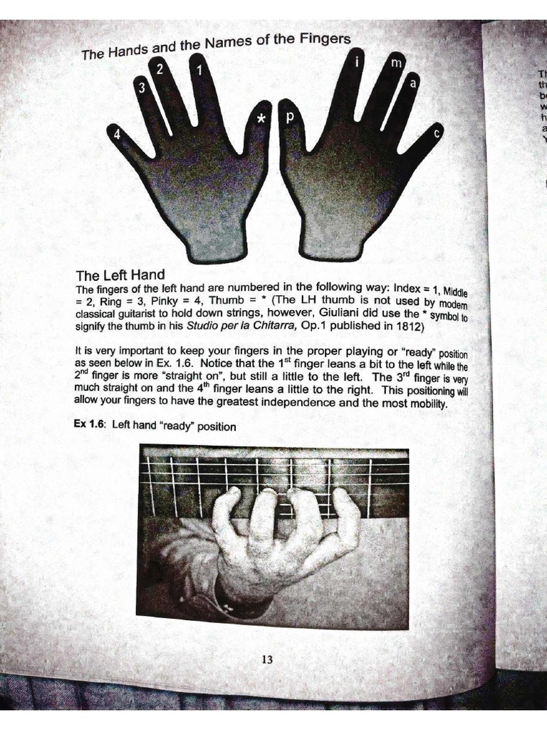 Handbook of Classical Guitar Beginners PDF