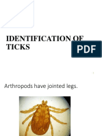 Identification of Ticks