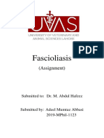 Fascioliasis: (Assignment)