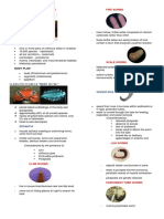 GBII - Phylum Annelida - Platyhelminthes.molluska