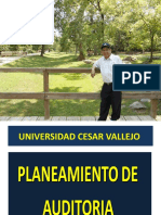 Planificacion de Auditoria