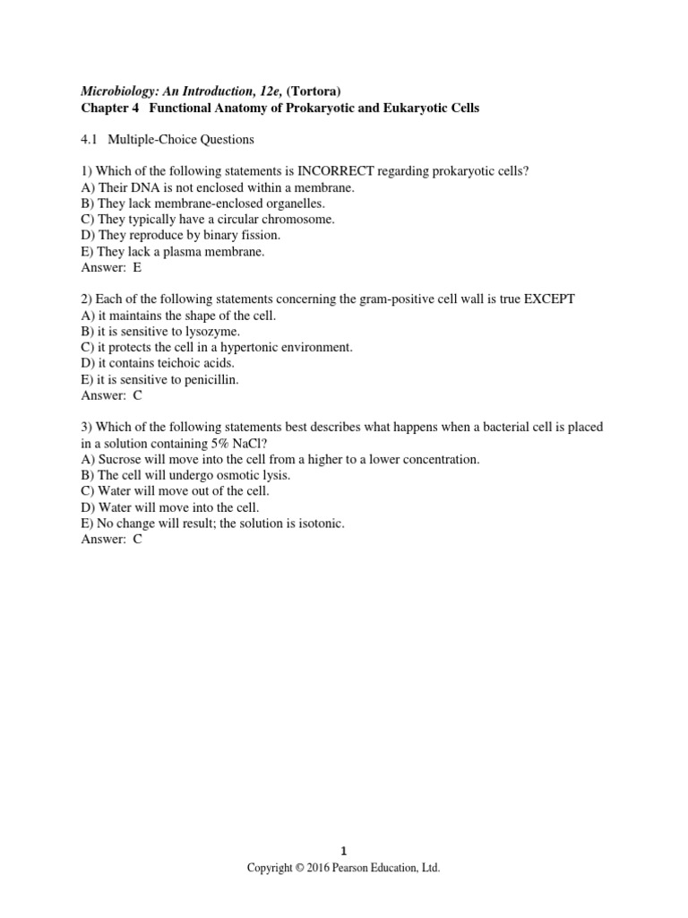 Microbiology Chapt 4 Pdf Cell Biology Bacteria