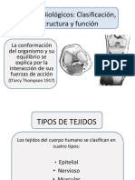 TejidosBiolgicosestructurayfuncin.ppt