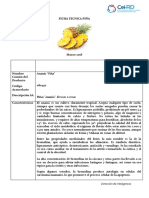 Ficha Pina PDF
