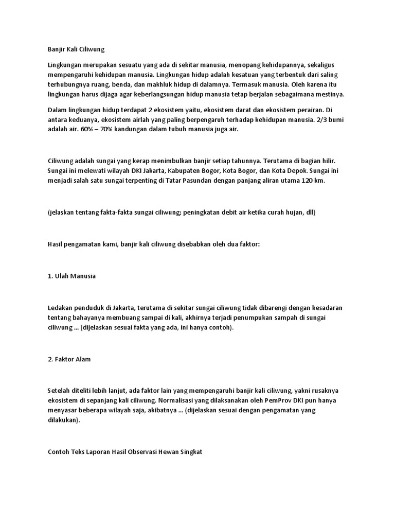 Banjir Kali Ciliwung