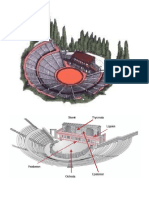 Estructura Del Teatro Griego