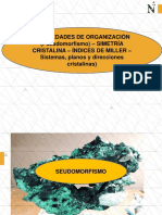 CRISTALIZACIÓN - PROPIEDADES DE ORGANIZACIÓN (Pseudo morfismo) (1).pdf