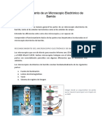 Informe 1 Microscopía Electrónica