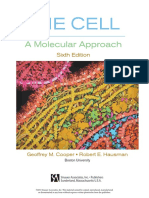 TheCell6.pdf