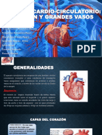 Sistema Cardio Circulatorio