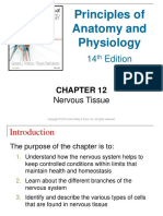 Anatomy Physiol 2014 Tortora Neuronal Tissue