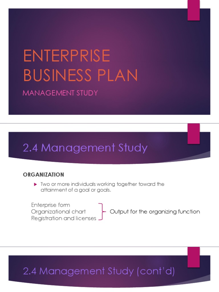 Enterprise Business Plan: Management Study | PDF