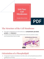 Unit 2 Project - Cell Membranes