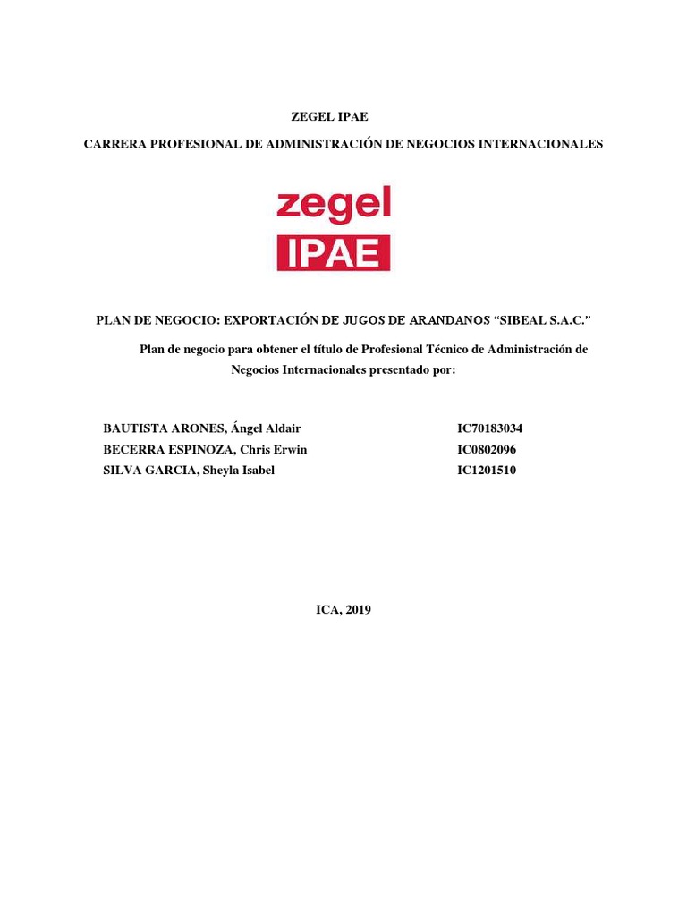 Plan de Negocio Exportación de Jugos de Arandanos "Sibeal S.a.c." | PDF ...