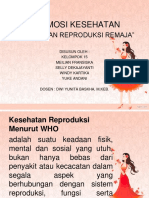 Promkes Div Semester 8 - Kelompok 15 - PPT Kespro Remaja