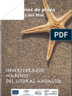 Cuaderna Invertebrados Kit Correlimos