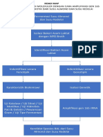 Road Map Salwa PDF