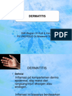 Dermatitis Dr.nisa