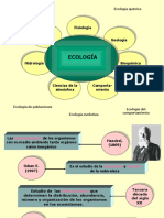 Eco Sistem As