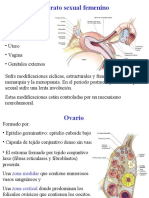 Clase XVI Aparato Sexual Femenino