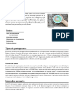 Partograma PDF