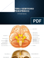 Sistema Nervioso Periférico.pdf