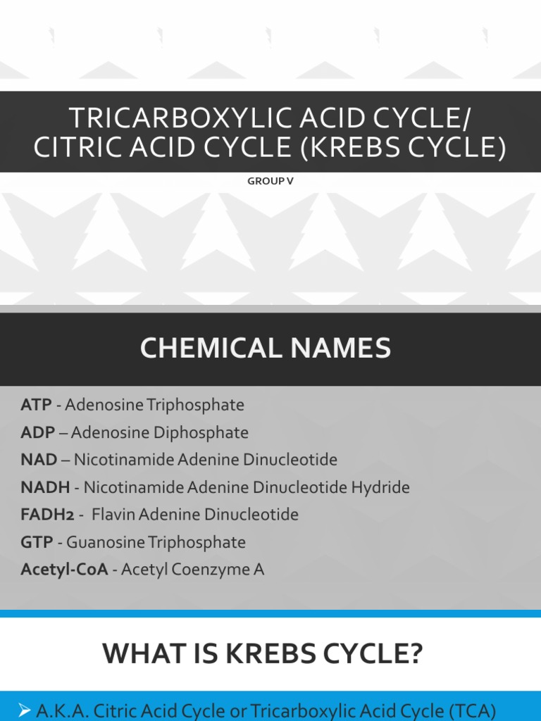 Tricarboxylic Acid Cycle | PDF | Citric Acid Cycle | Diet & Nutrition