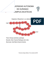 Ensayo Proteinas PDF