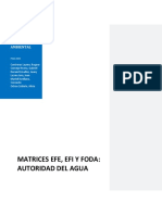 Pea - Matrices Efi, Efe y Foda Agua