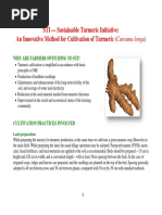 Turmeric Project PDF