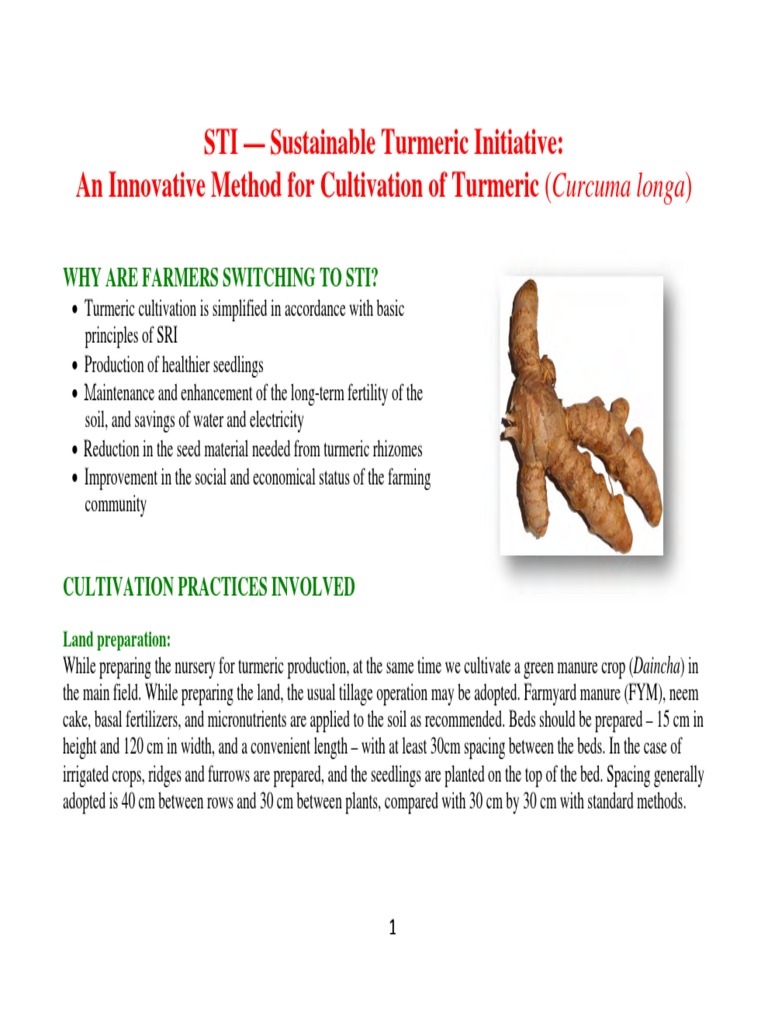Turmeric Project PDF | PDF | Fertilizer | Agriculture