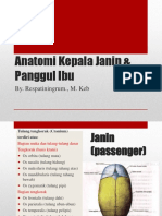 Anatomi Kepala Janin & Panggul Ibu