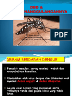 Materi DBD Dan Pencegahannya