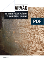 Biocarvao281 PDF