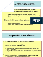 fisiovegetal_pteridófitos.pdf