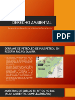 Derecho Ambiental