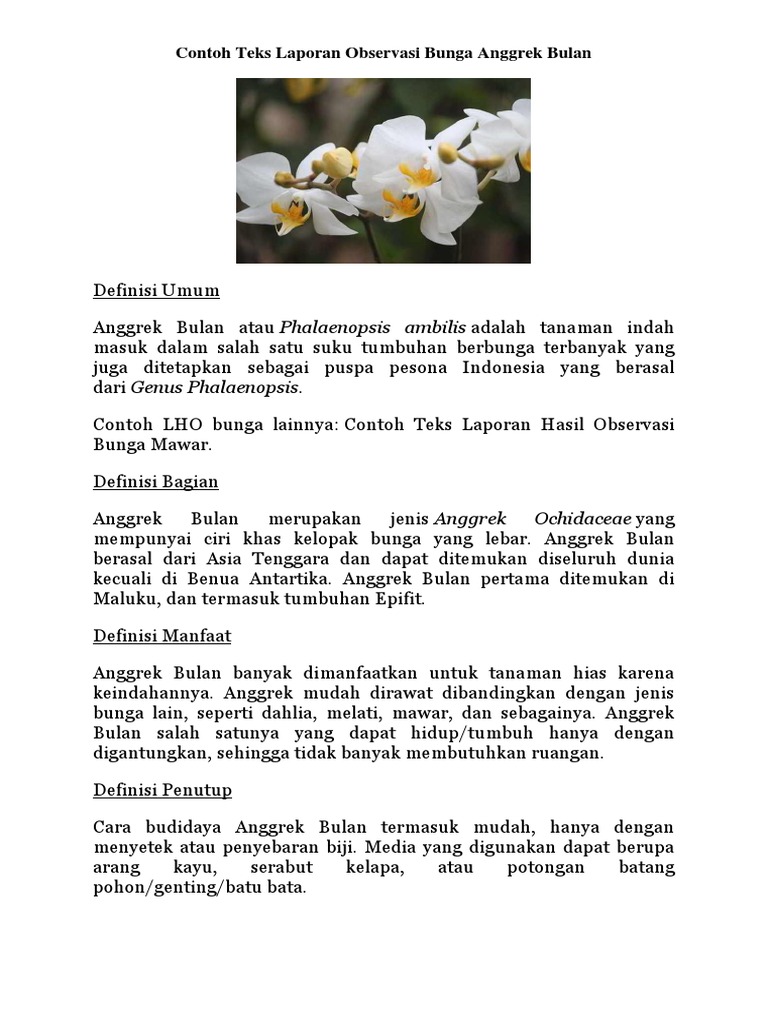 Contoh Teks Laporan Observasi Bunga Anggrek Bulan Pdf